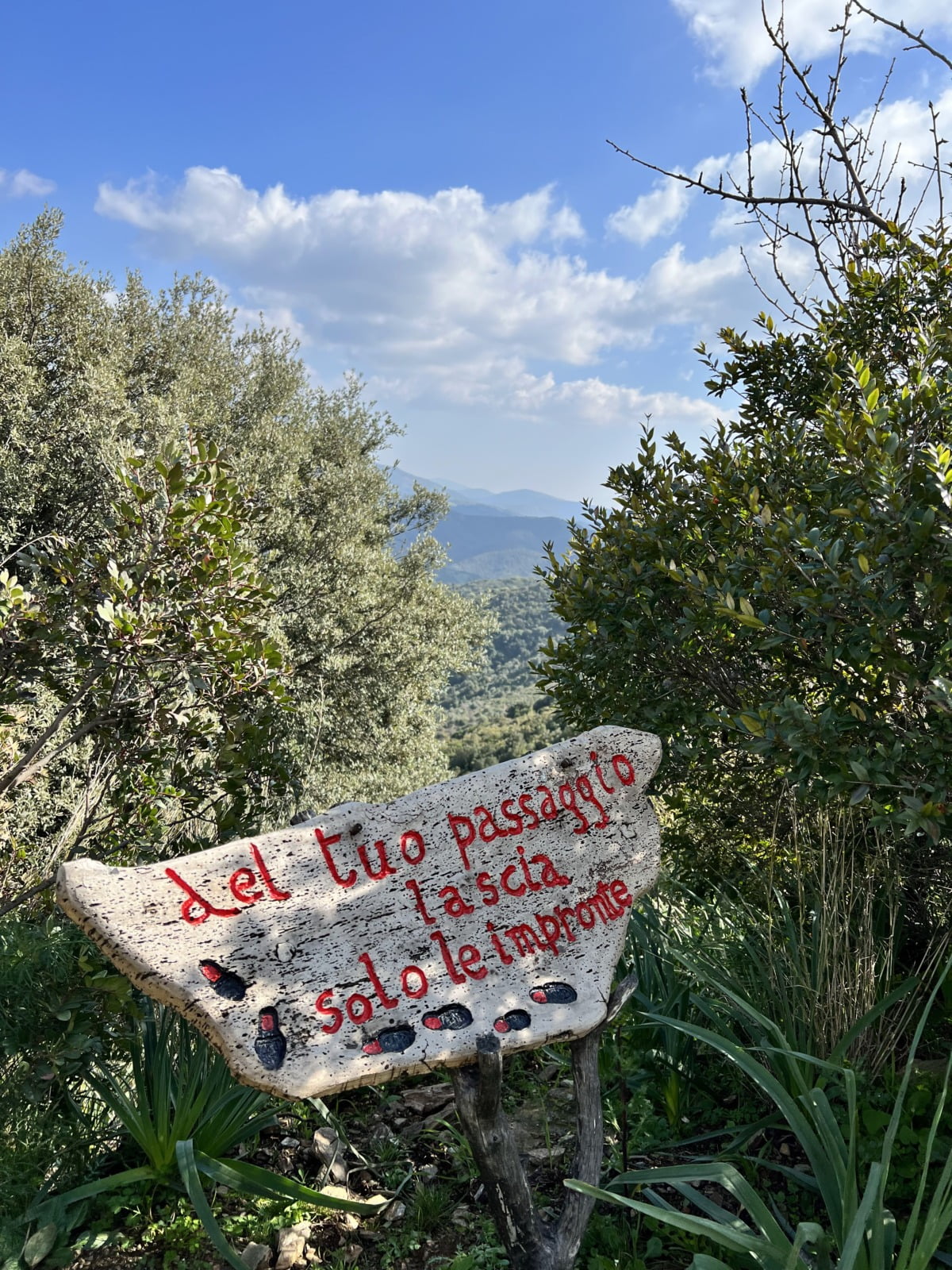 Bosco e Cartellonistica Su Tempiesu