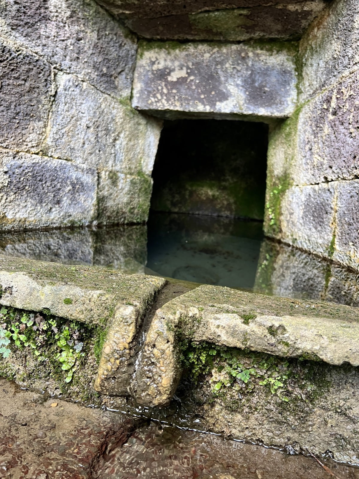 Sorgente Sacra Su Tempiesu