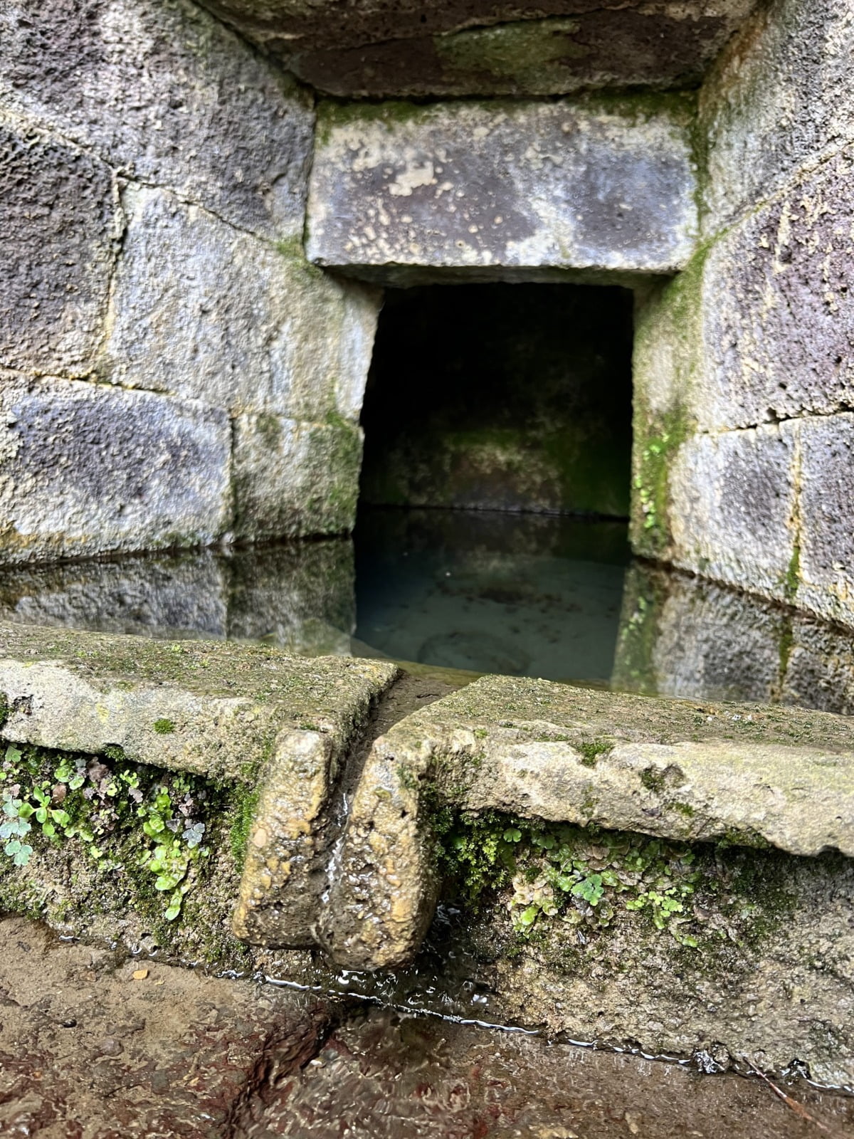 Sorgente Sacra Su Tempiesu