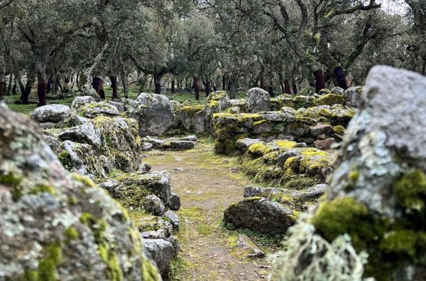 Romanzesu Villaggio Santuario Nuragico Bitti