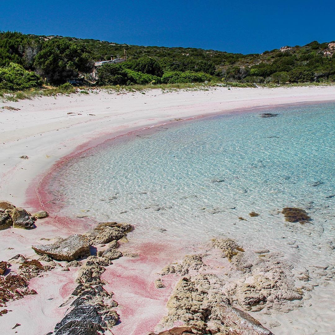 La Maddalena: L'Arcipelago, Cosa Fare, Come Arrivare Spiaggia Rosa Nell' Isola Di Budelli